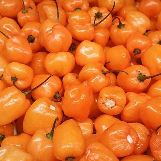 Sully’s Salsa (Hot)