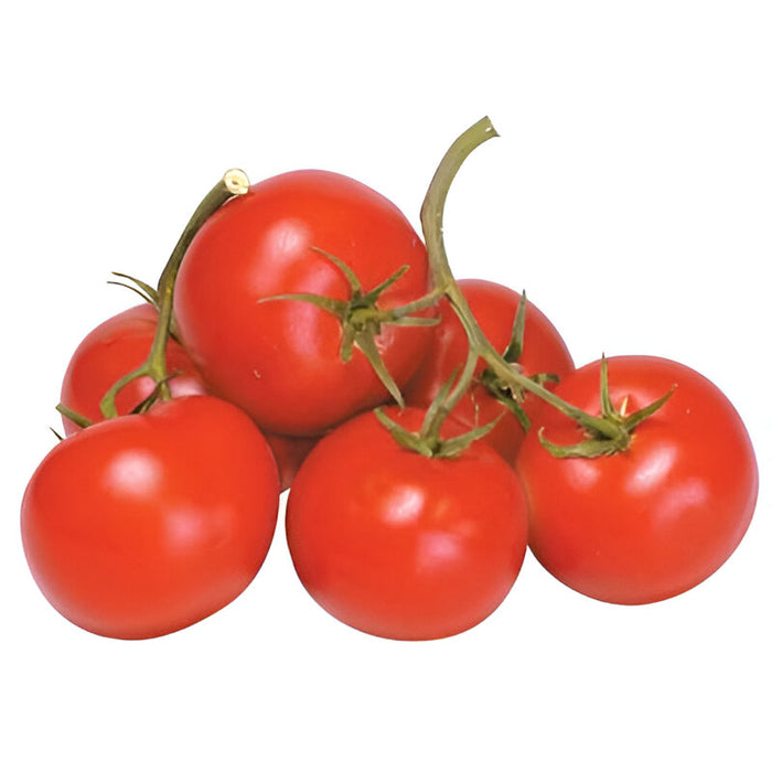 TOMATO VINERIPE 5X6 10LB