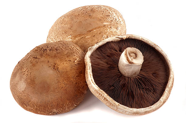 MUSHROOM PORTABELLA CAPS 5LB